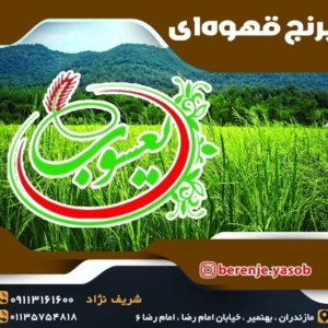 برنج قهوه ای